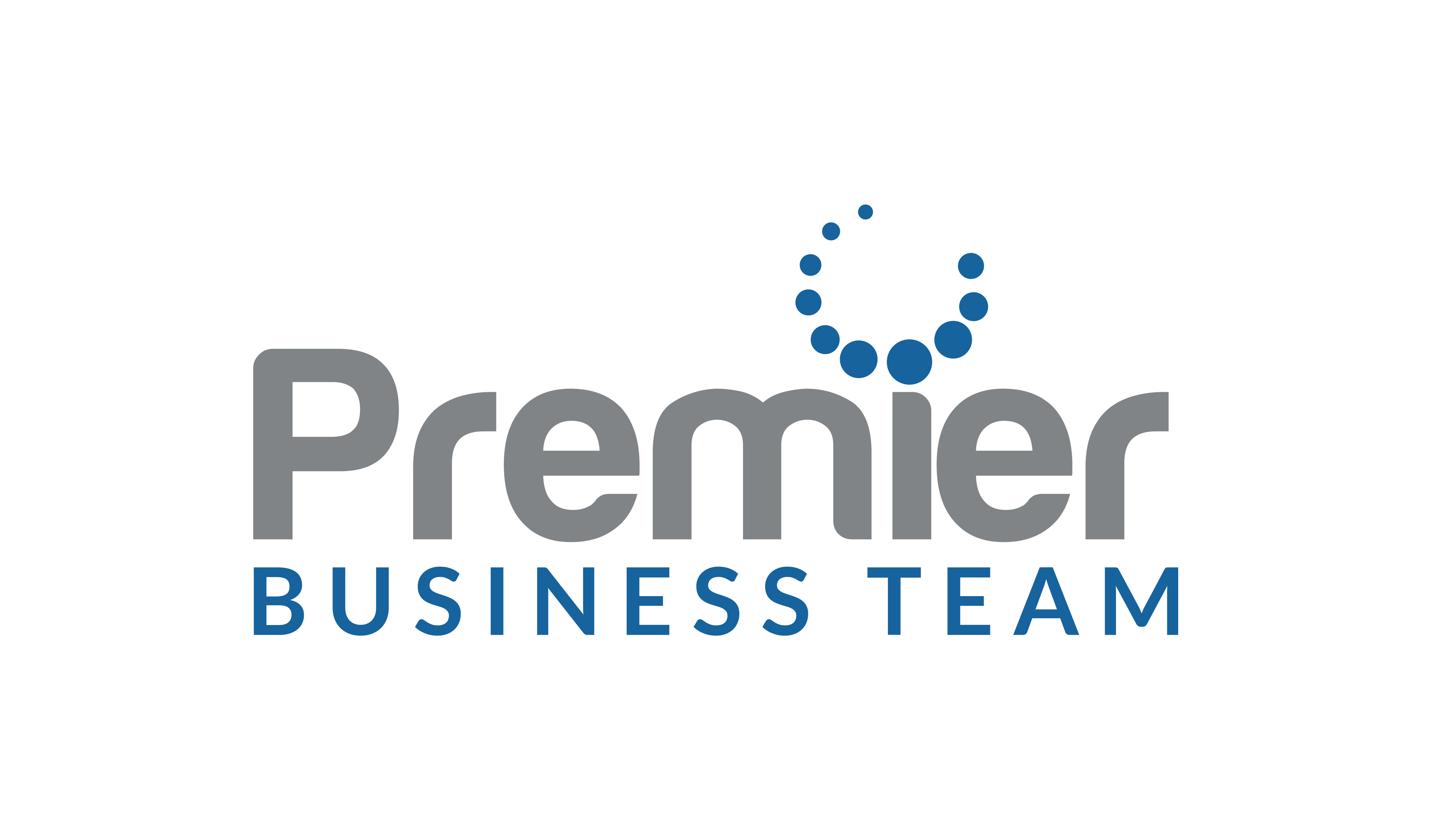 Premier Business Team